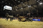 Extreme - 00821